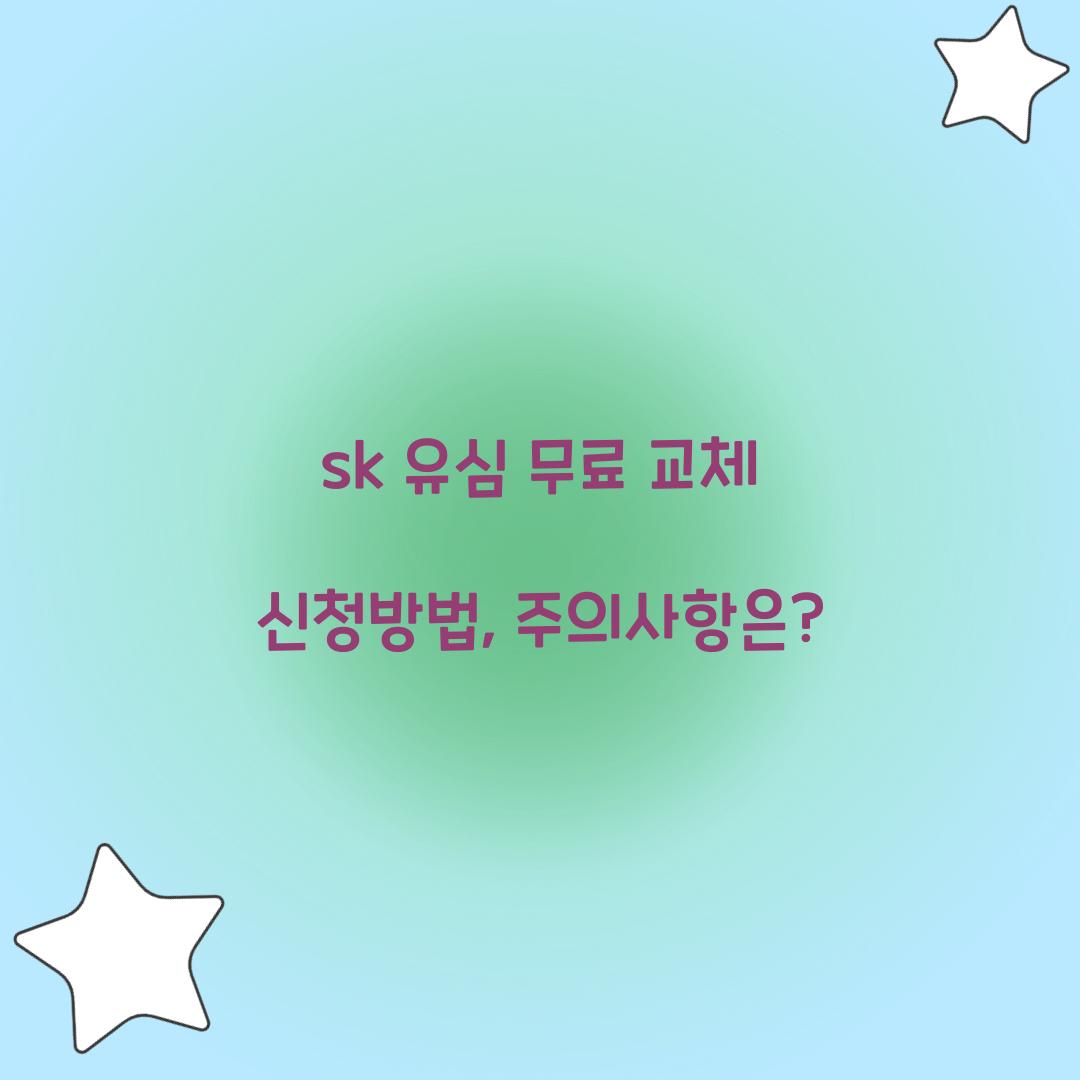 sk 유심 무료 교체