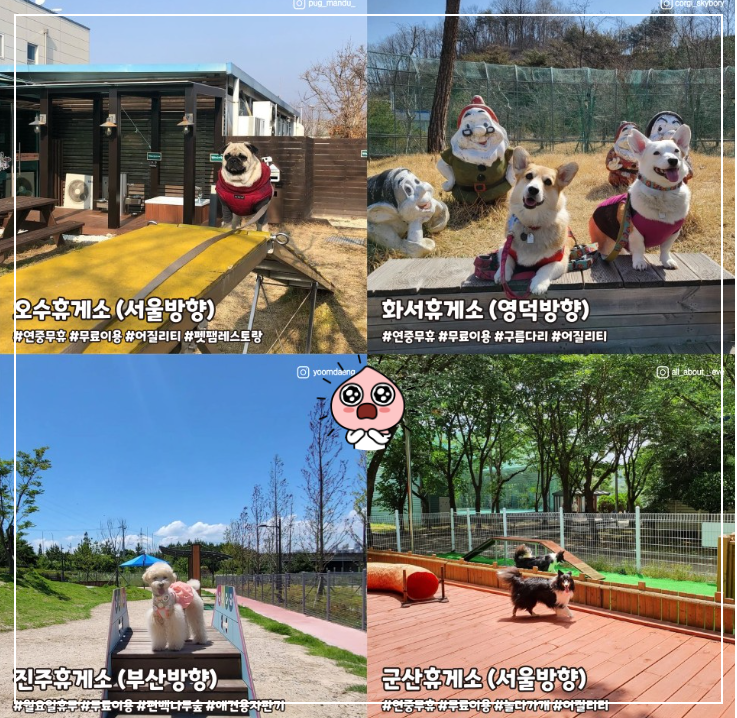 애견동반휴게소