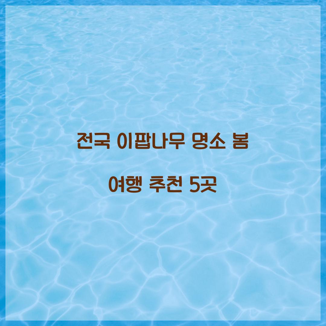전국 이팝나무 명소