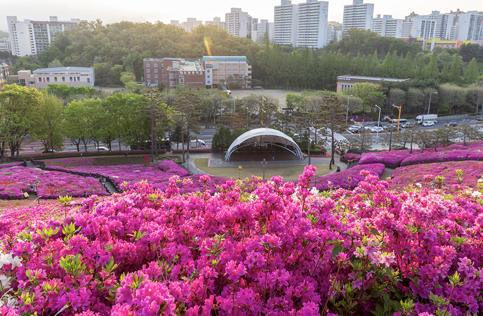 2025년 군포철쭉축제