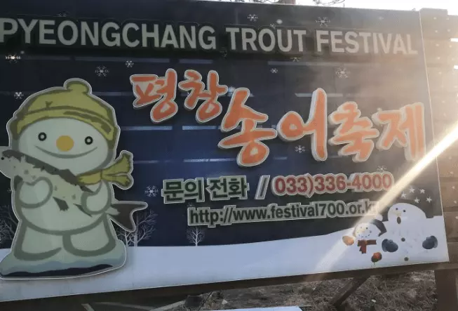 평창 송어 축제 안내