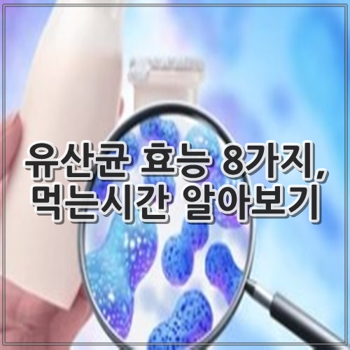 유산균 효능 8가지, 먹는시간 알아보기