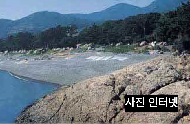 언니네산지직송 완도 소안도 화흥포항 맛집과 숙소 촬영지 여행 추천