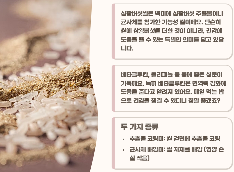 상황버섯 쌀 효능 가격 밥 짓는 법