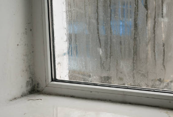 곰팡이 원인 결로