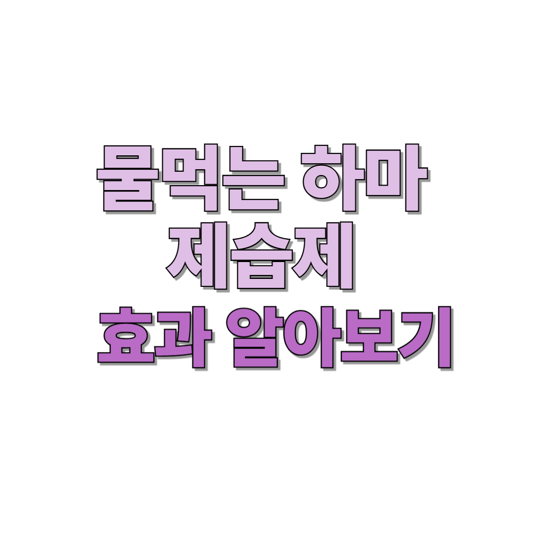 물먹는하마 제습제 효과