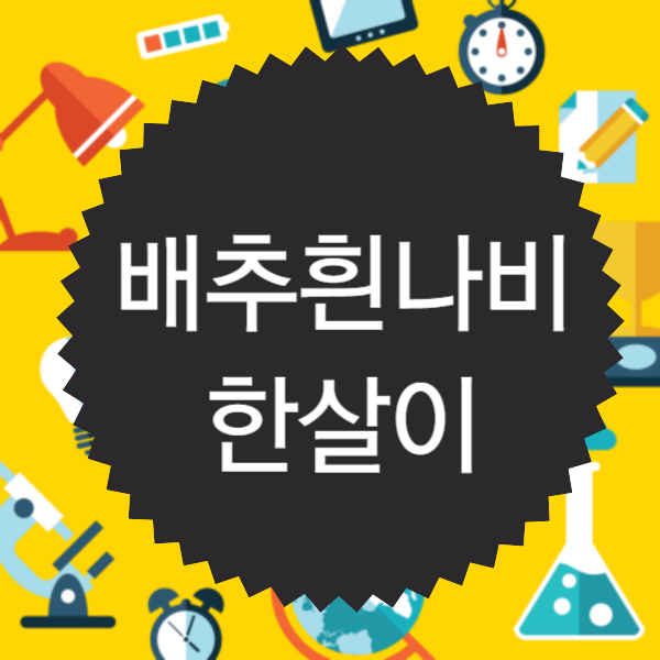 배추흰나비의 한살이