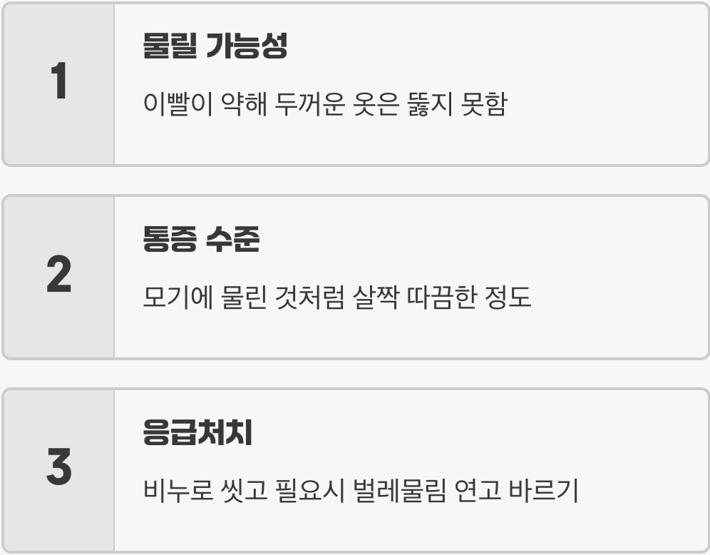 혹시라도 물리게 된다면?