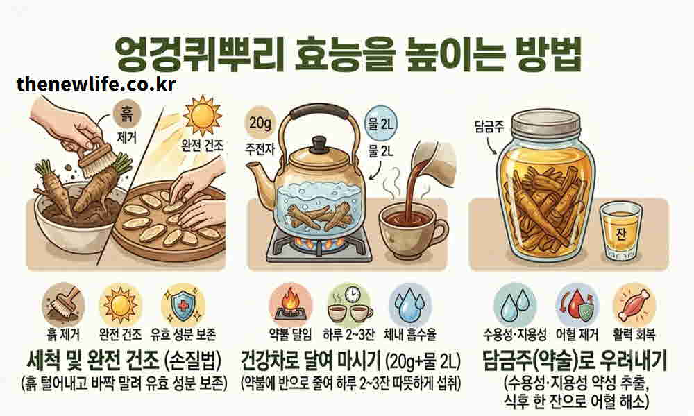 엉겅퀴뿌리 효능 높이는 먹는 방법