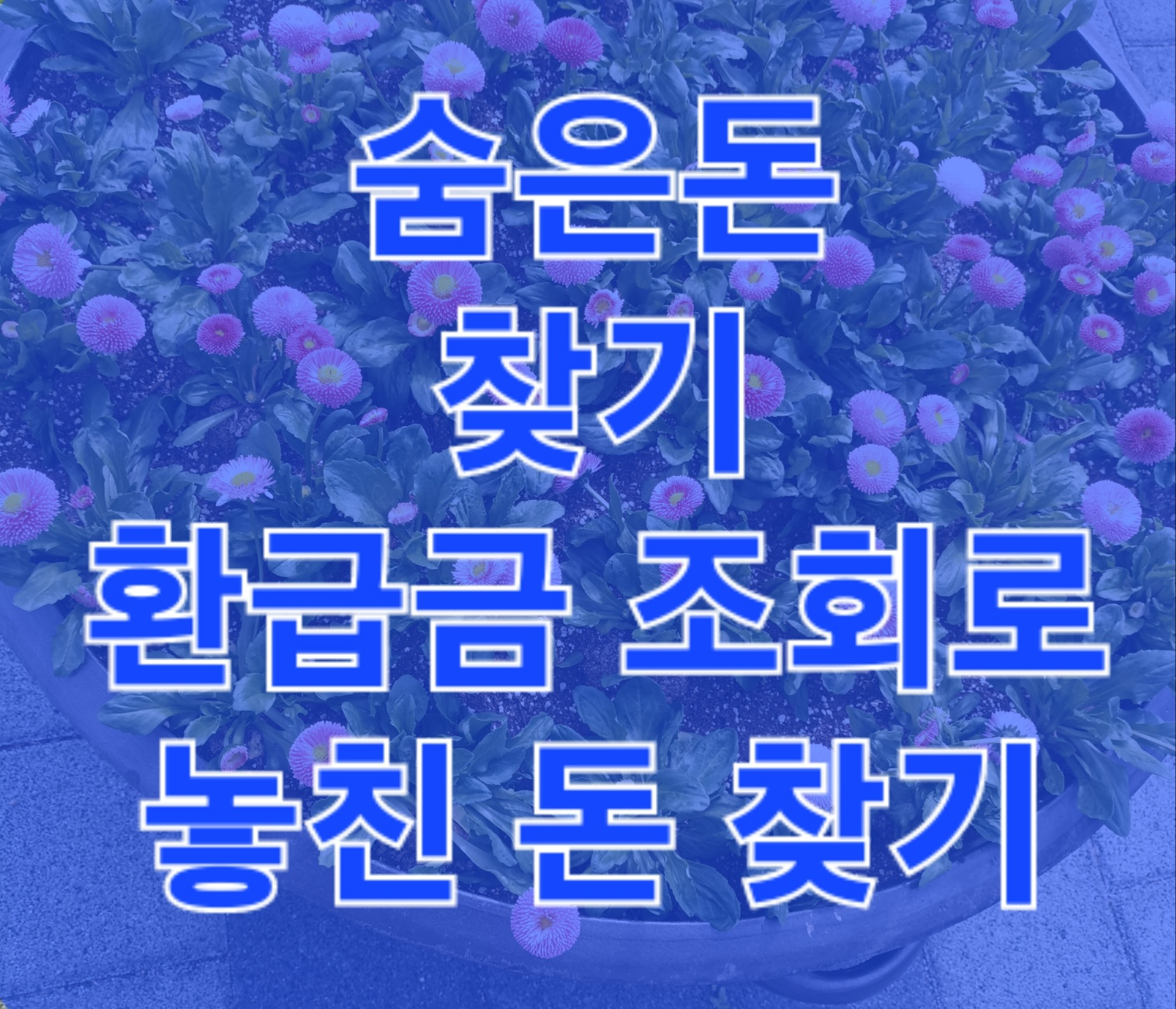 숨은 돈 찾기! 환급금 조회로 놓친 돈을 되찾는 방법