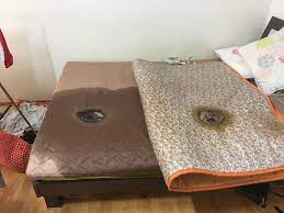 겨울 온수 매트 추천 BEST 6 