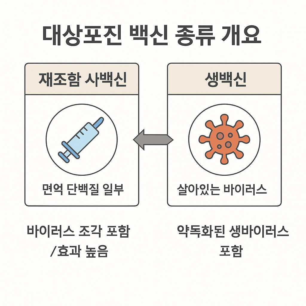 대상포진 백신 종류 개요 도식: 재조합 사백신과 생백신 비교