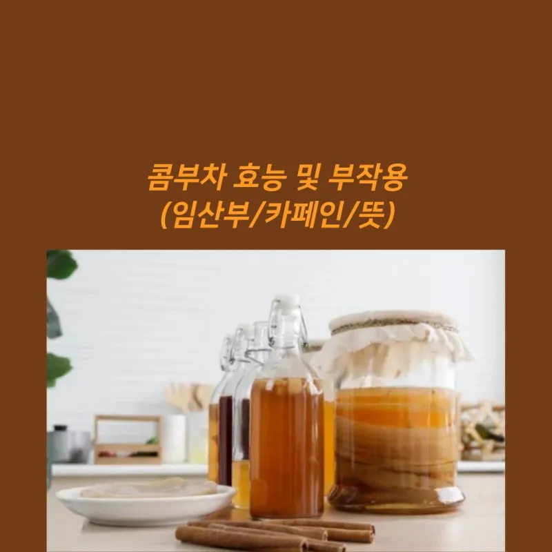 콤부차 효능_6