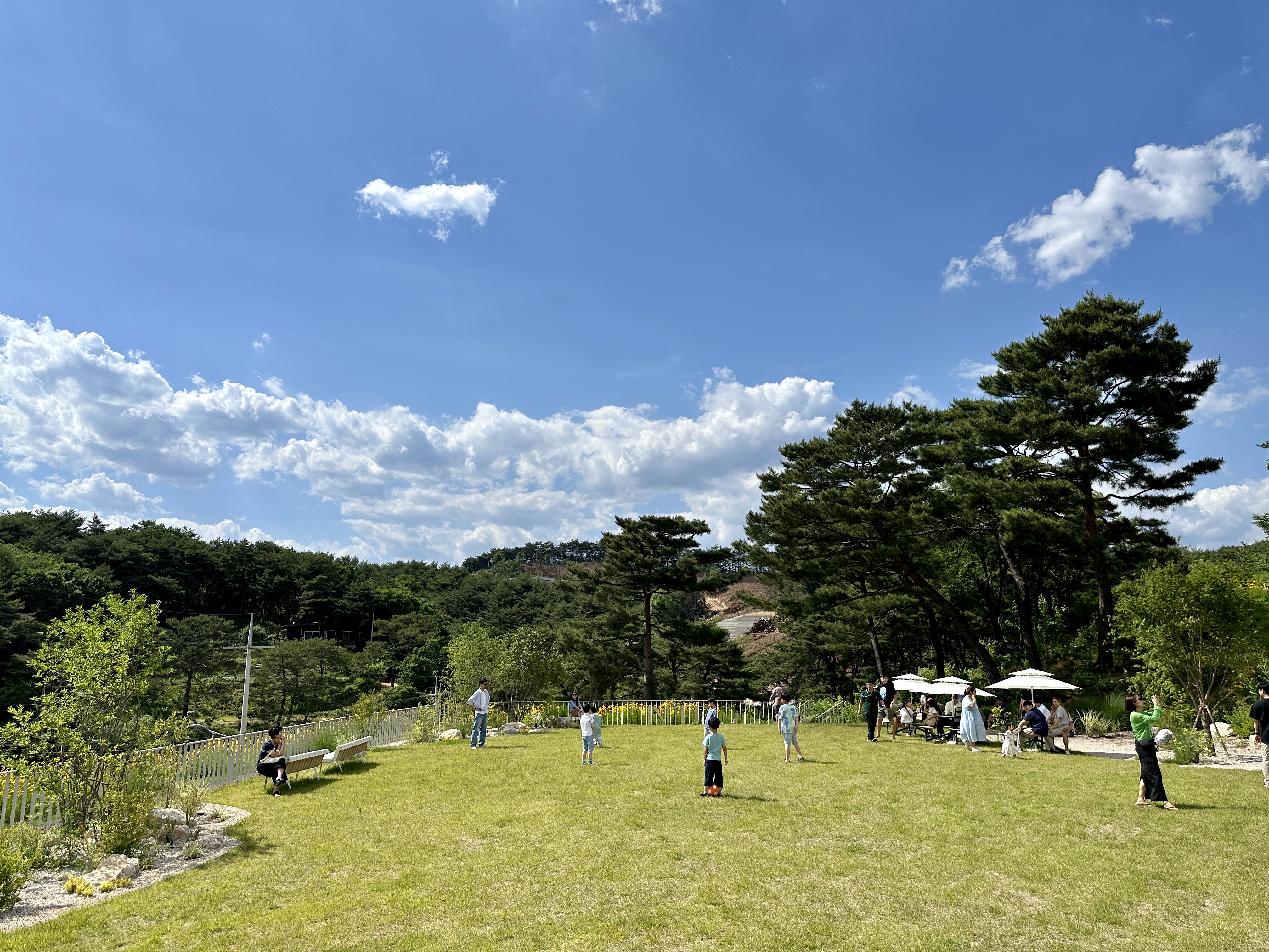 춘천 손흥민 카페 축구