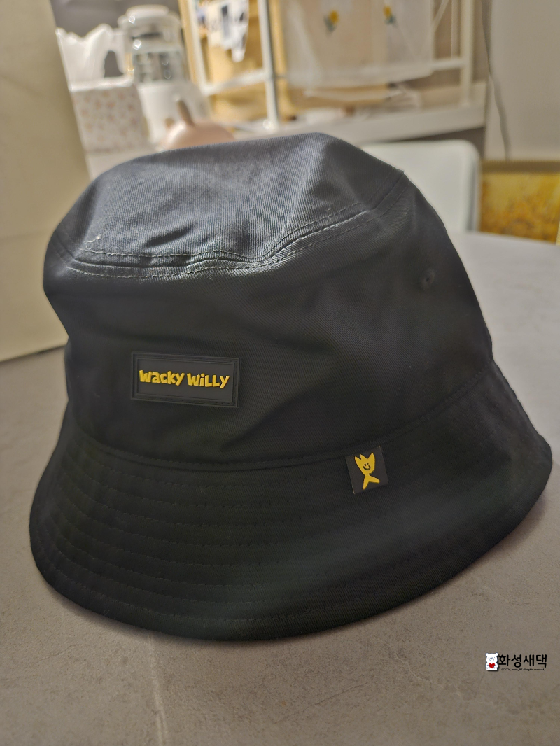 와릿이즌-와키윌리