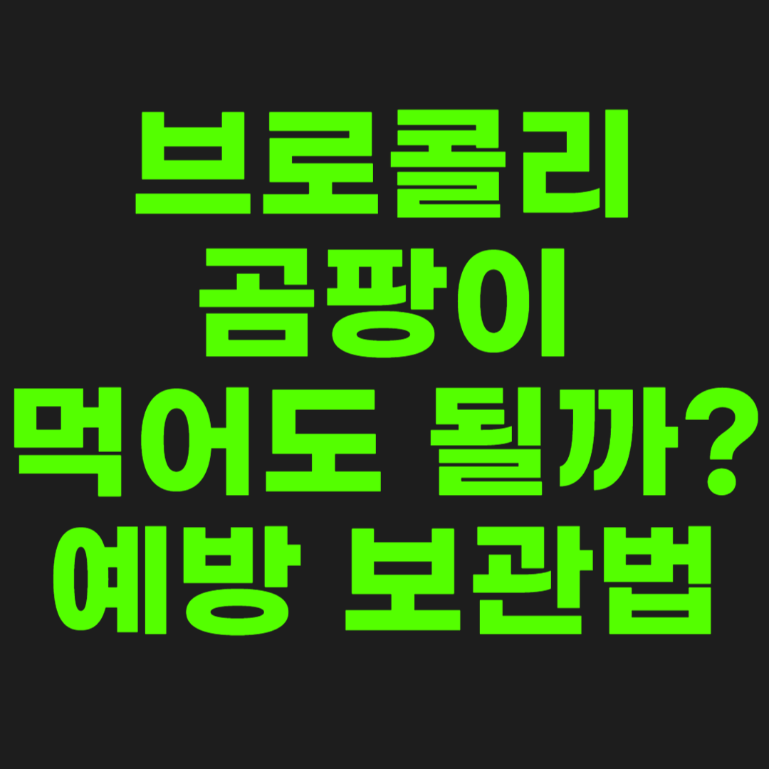 브로콜리-곰팡이-썸네일-이미지