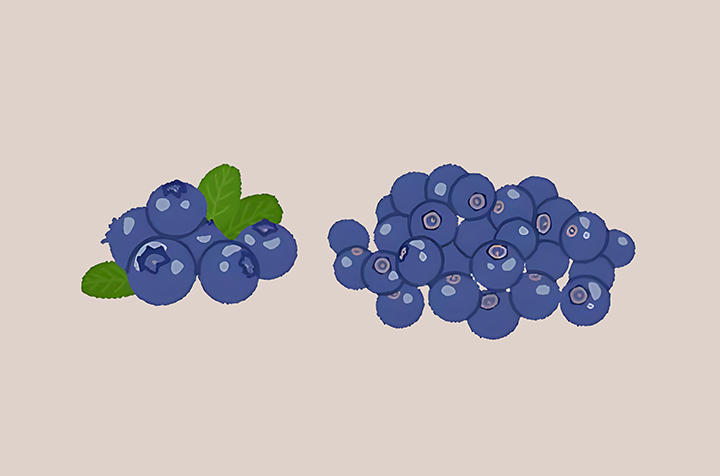 안토시아닌-하루-섭취-권장량