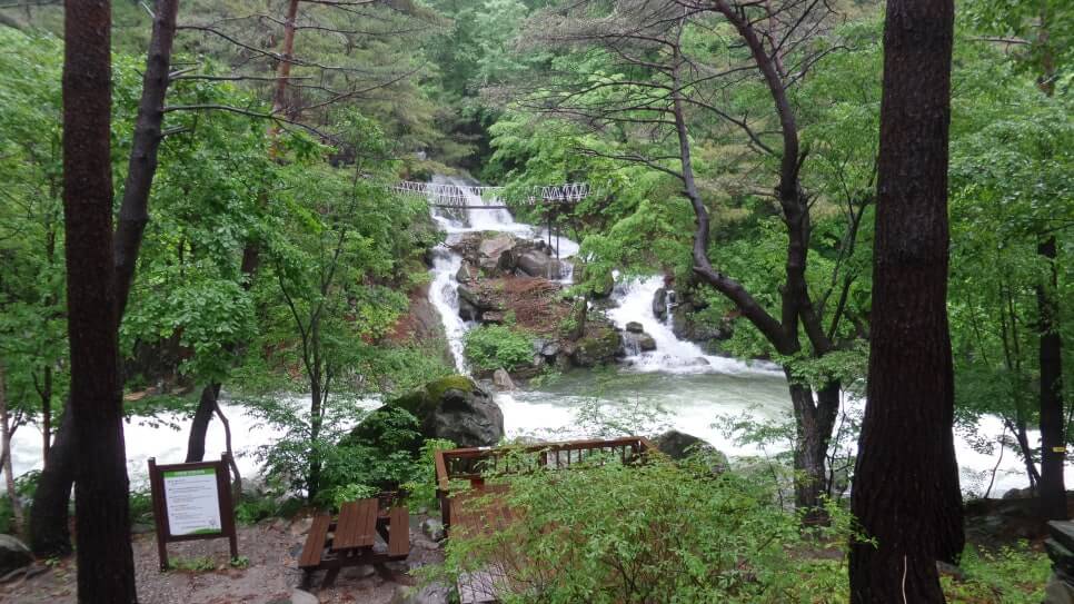 100대 명산 등산하기 마흔세번째 정선 가리왕산 깊은 원시림과 청량한 산세가 살아 숨 쉬는 강원도의 숨은 명산