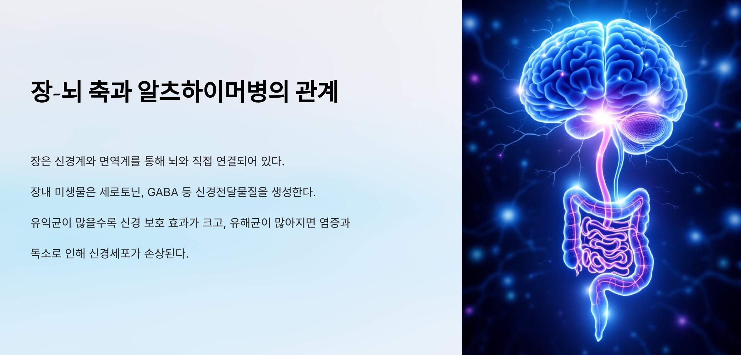 Gut-Brain Axis가 신경전달물질 조절과 뇌 염증에 미치는 영향을 정리한 다이어그램