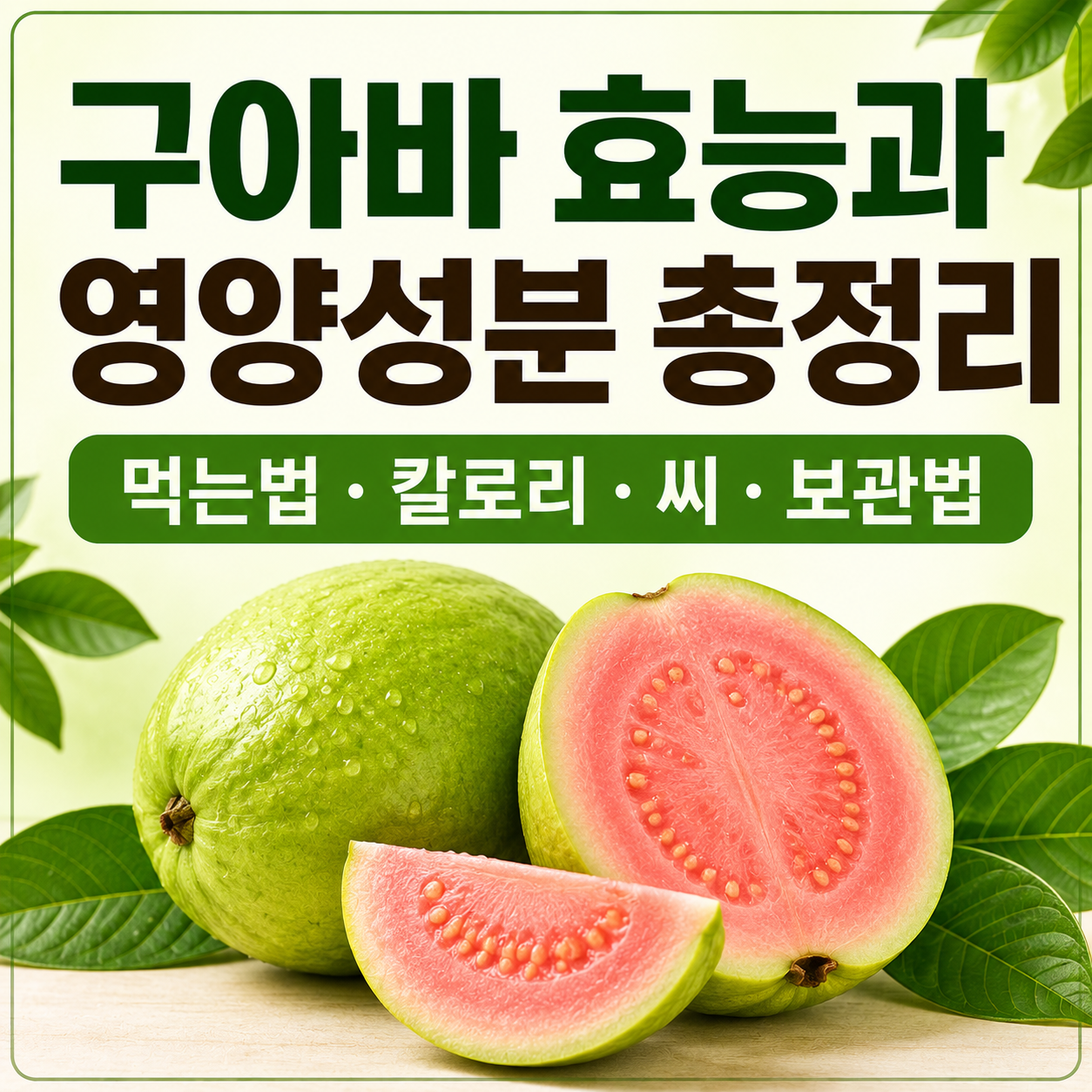 구아바 효능
