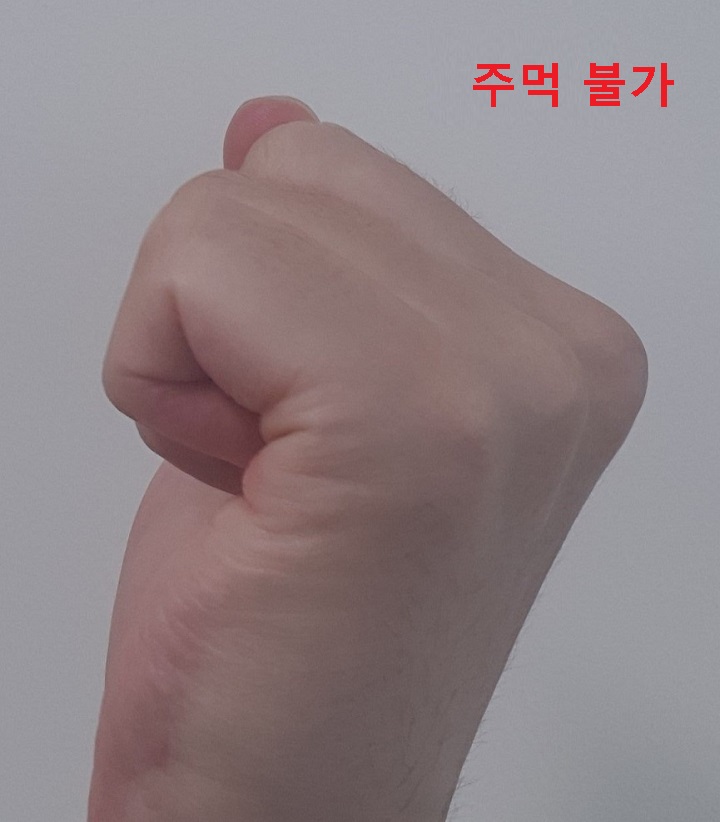 주먹 모양 보임
