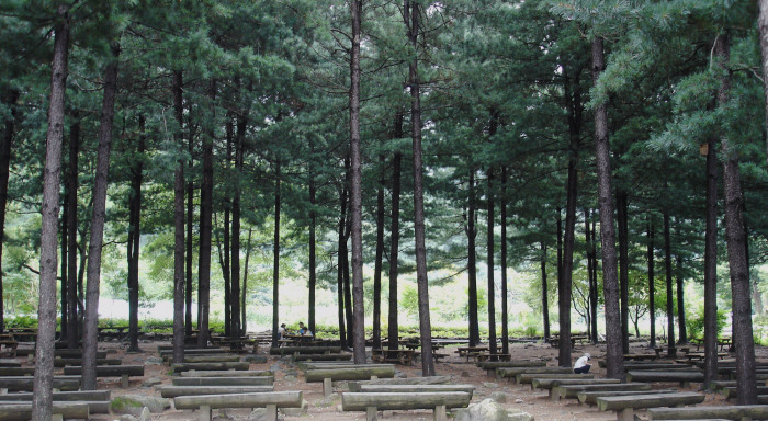 유명산 자연휴양림