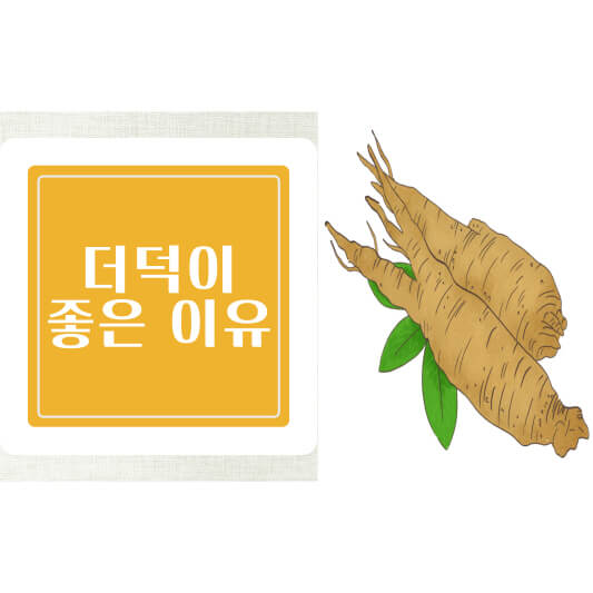 더덕효능