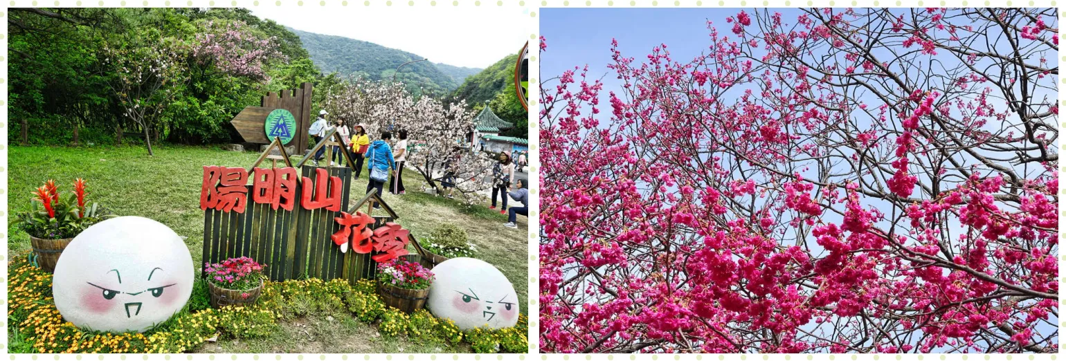 양명산