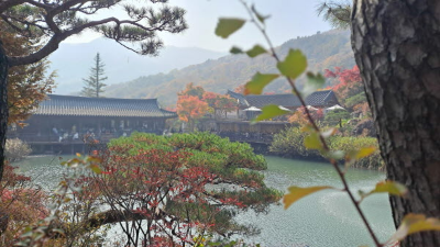 단풍명소_화담숲_연못