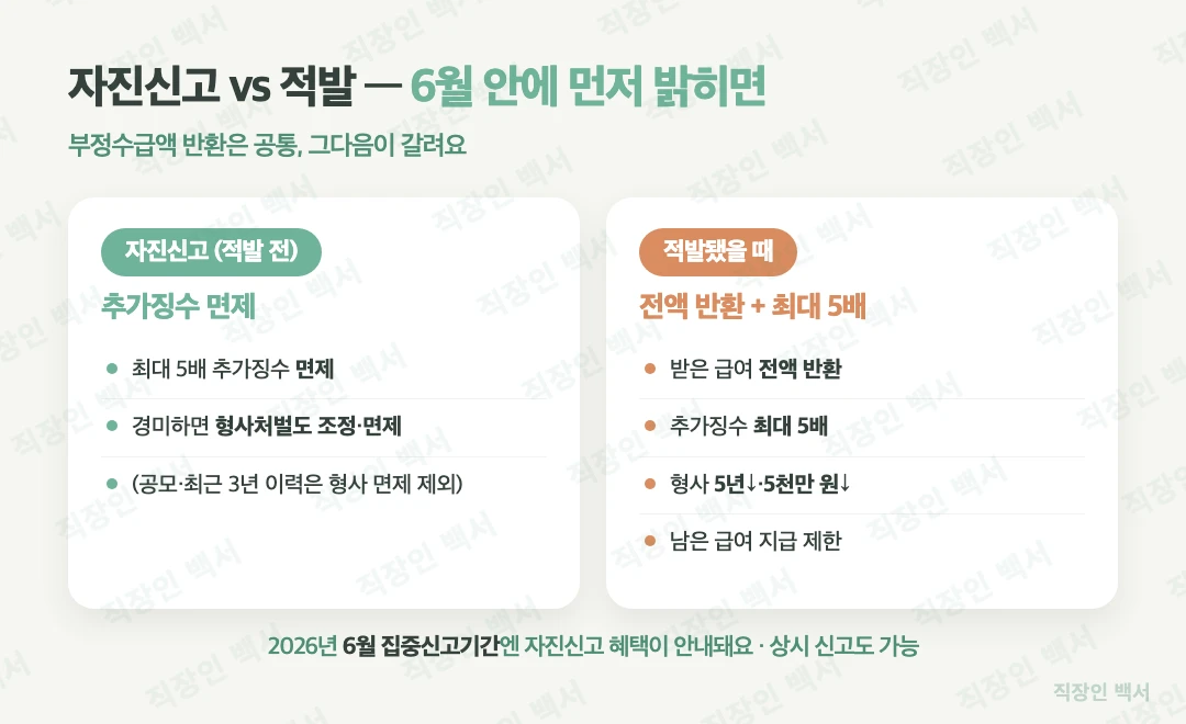 실업급여 부정수급 자진신고 적발 비교