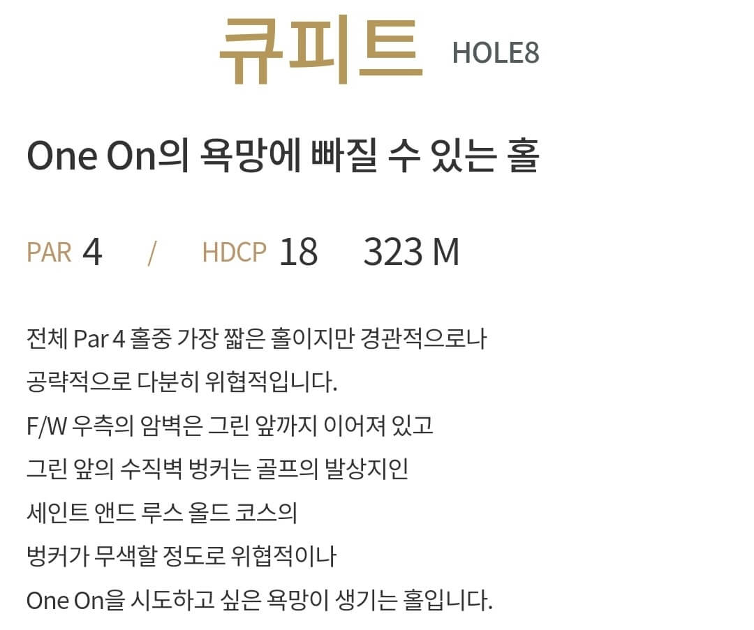 마이다스밸리 골프클럽 마이다스코스 8