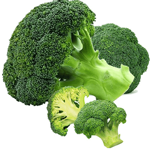브로콜리