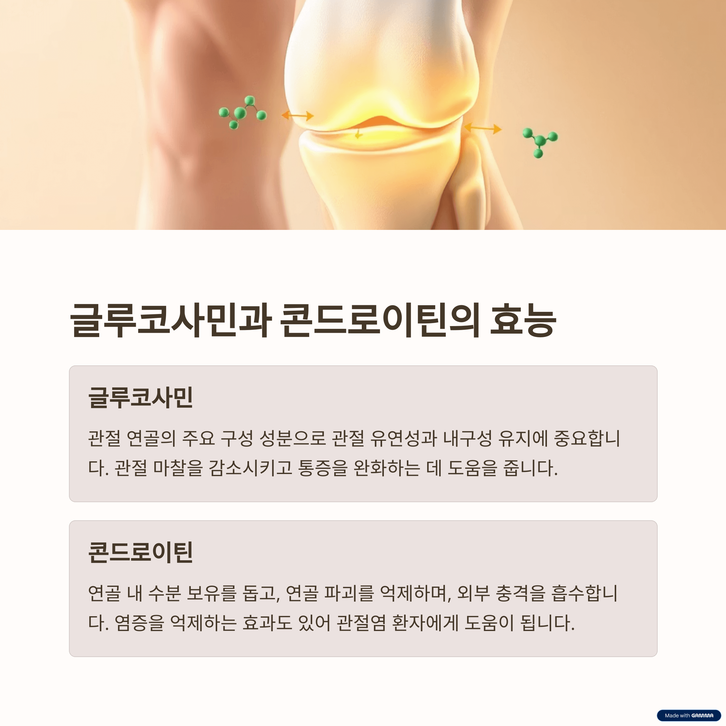 주요 성분별 효능 정리