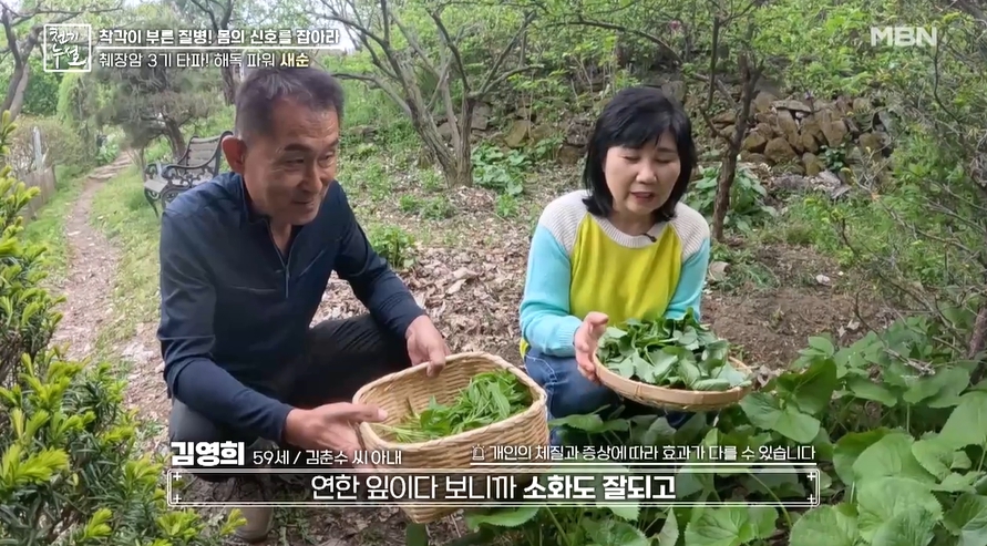 봄나물이미지