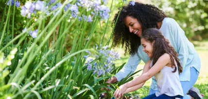 공공 텃밭 관련 사진
