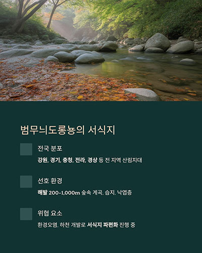 숲이 살아 있는 고지대 물가