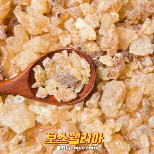 보스웰리아