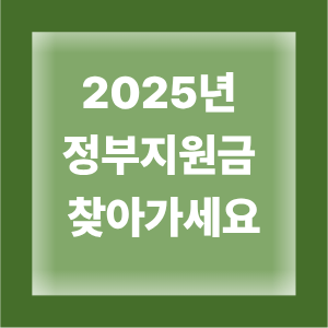 2025년 정부지원금 찾기 관련 이미지