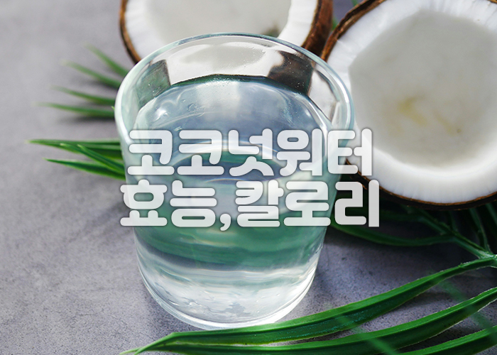 코코넛워터가 투명한 유리컵에 담겨져있다