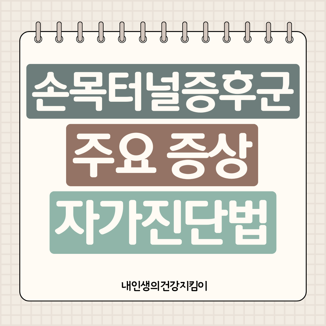 손목터널 증후군 증상