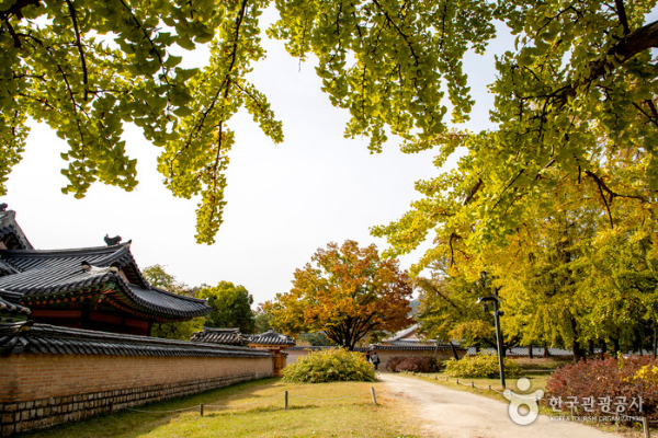 경복궁 야간개장