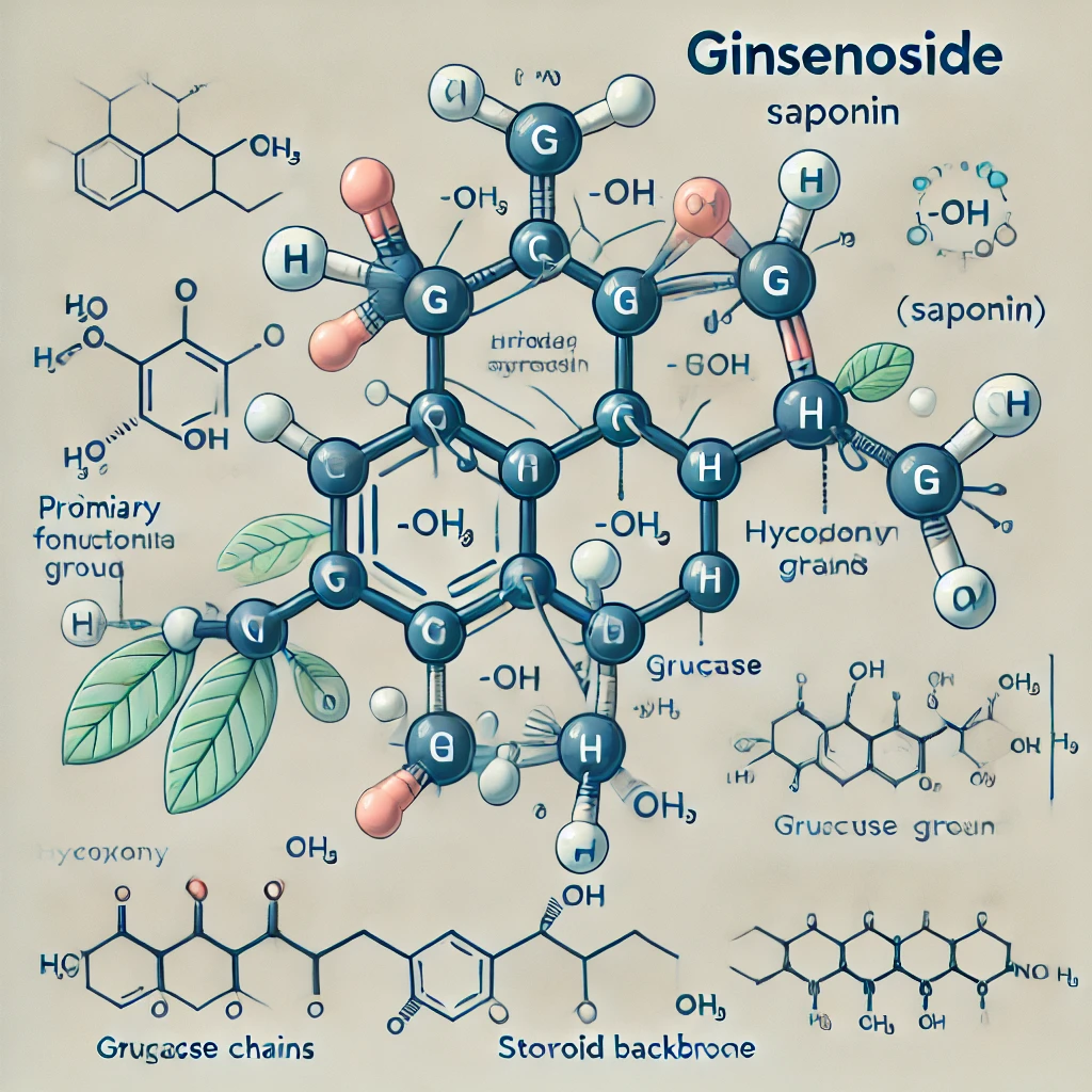 인삼의 주요성분인 사포닌의 구조적특징을 표현