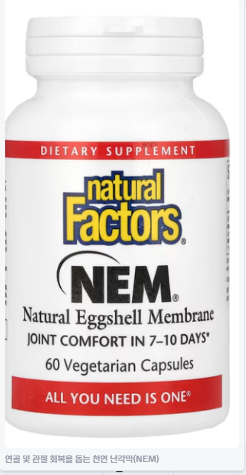 난각막가수분해물 효능