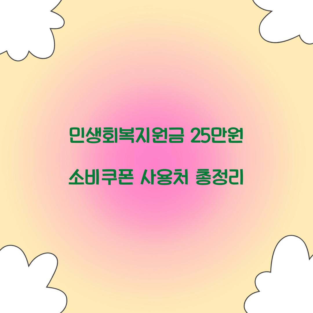 민생회복지원금 25만원 소비쿠폰 사용처