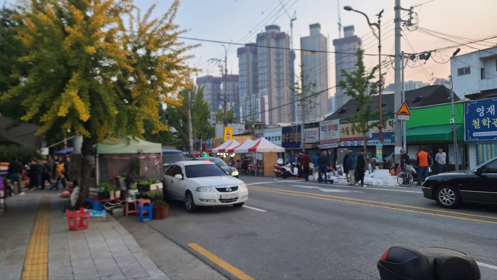 시장13