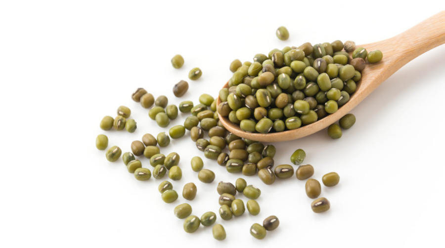 야생에서 채취를 한 녹두를 하얀 바닥 위에 수십 개를 놓아두고 그 위에 녹두를 가득 담은 나무 숟가락을 놓아두고 찍은 사진