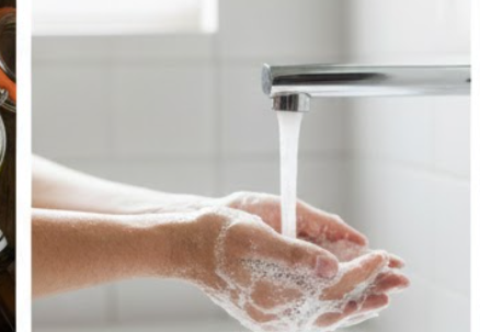 면역력 높이는 영양제