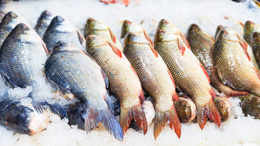 Fish market