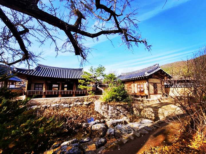 생방송오늘저녁 착한 송이버섯 라떼 사과에이드 고추 스콘 & 크림치즈 귀촌 남매 120년 고택 한옥 카페 경북 영양 맛집 추천