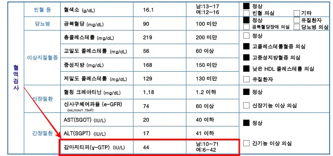 감마지티피-건강검진-결과통보서